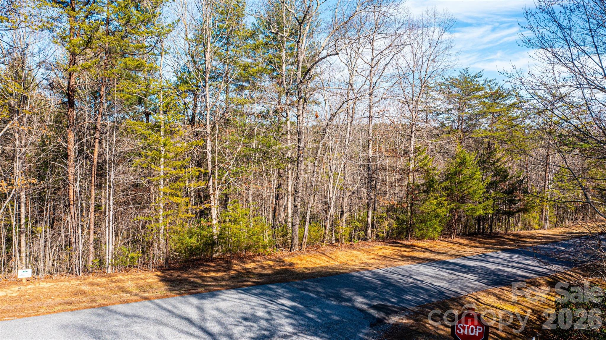 The Coves Mountain River Club - Land