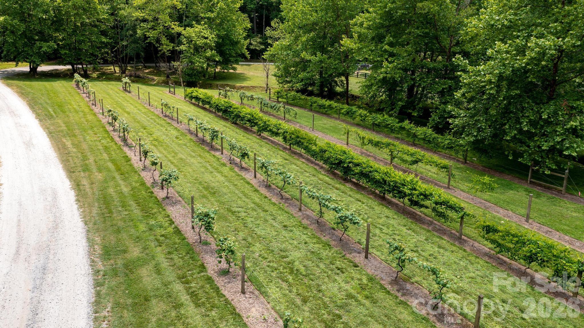 The Coves Mountain River Club - Land