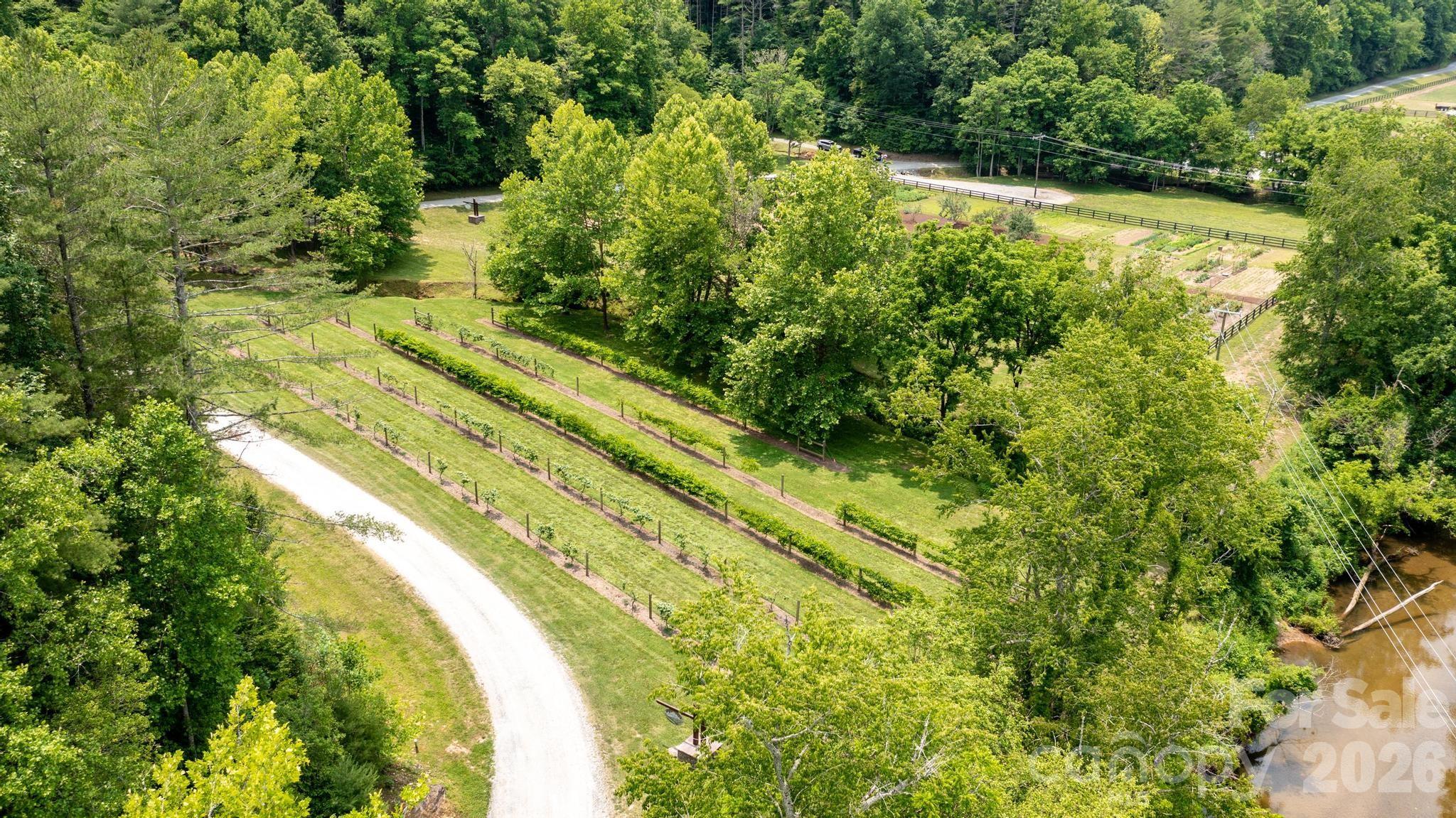 The Coves Mountain River Club - Land