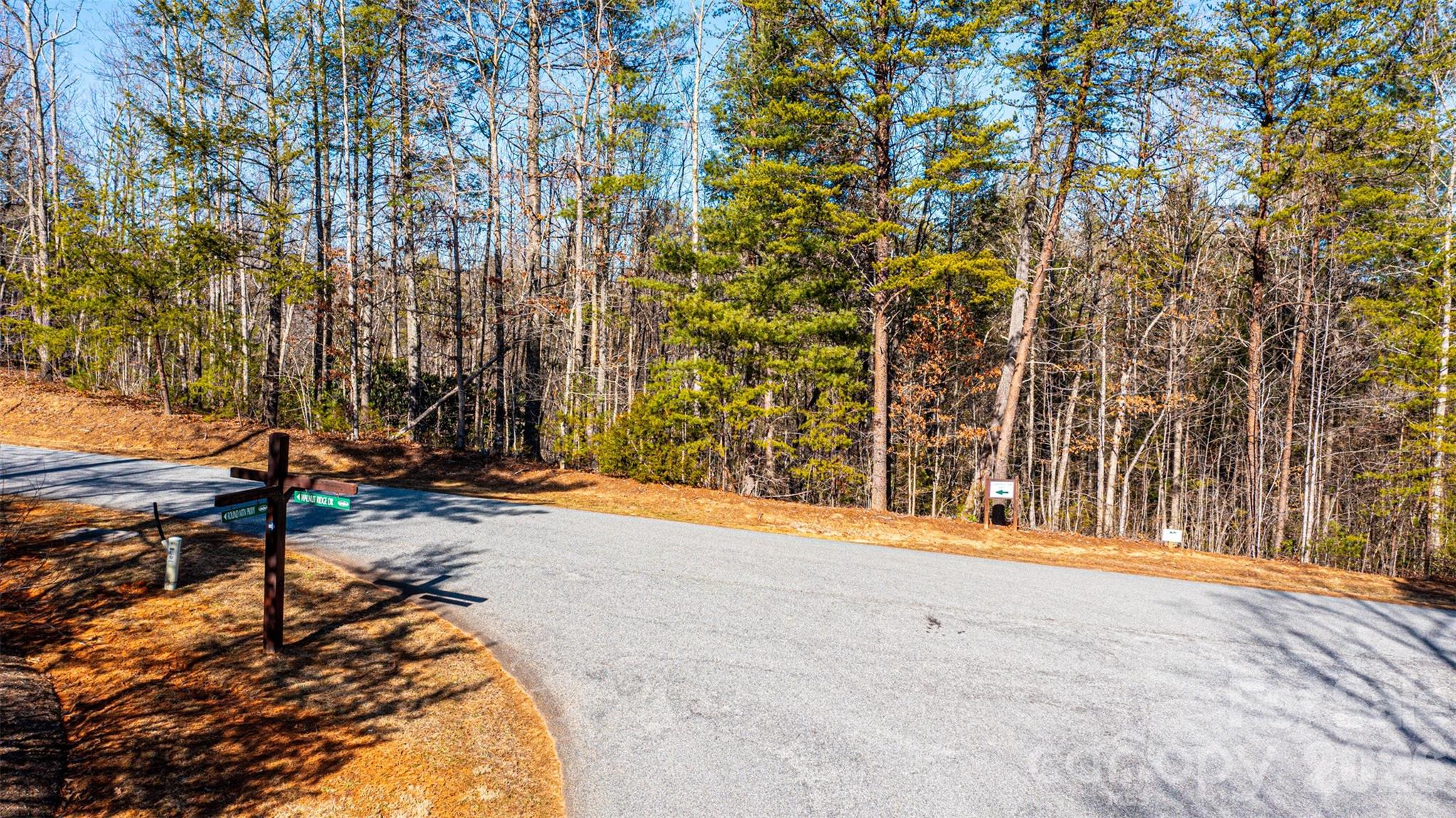 The Coves Mountain River Club - Land