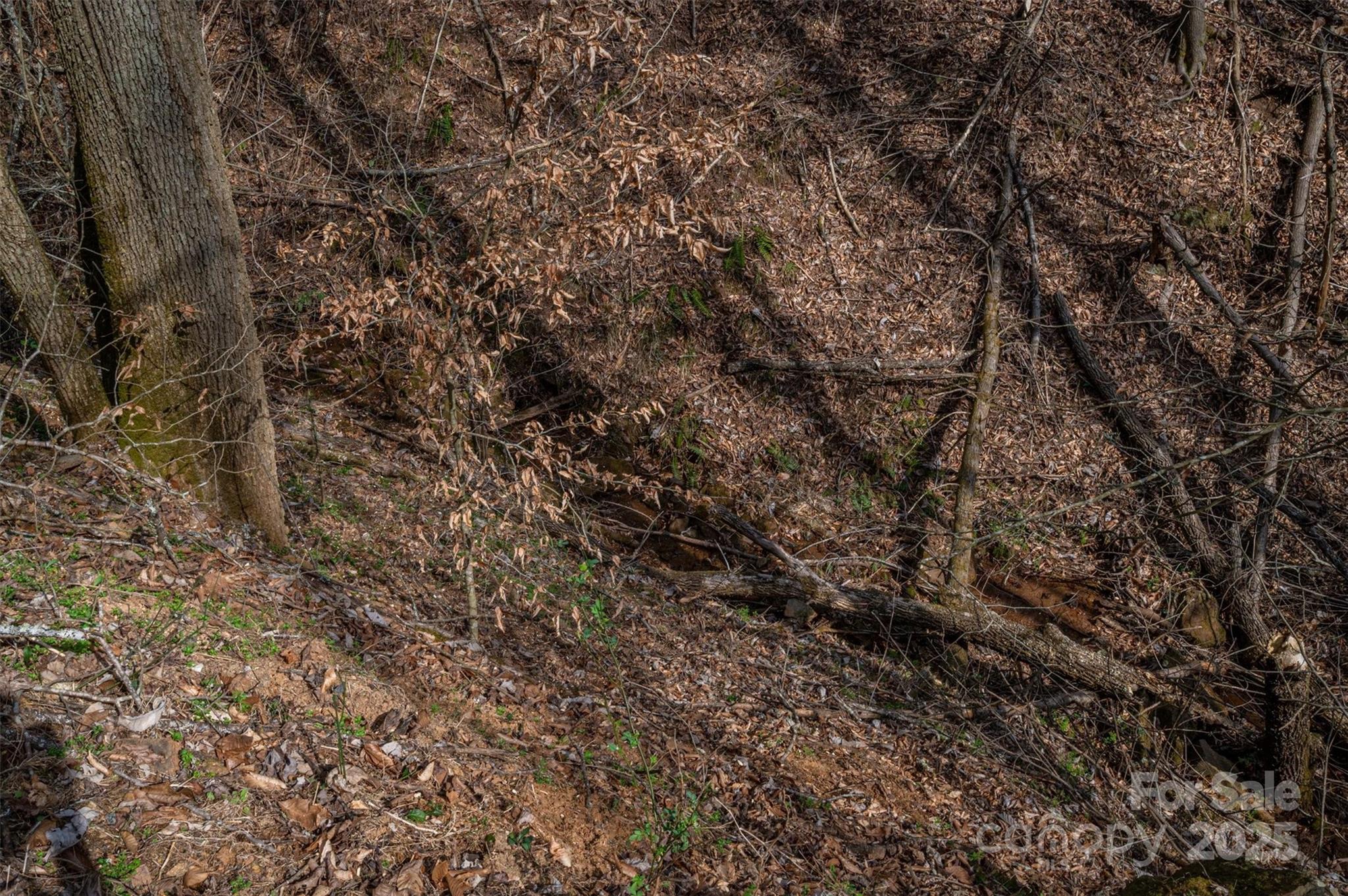 Morganton, North Carolina 28655, United States, ,Land,Active,91720