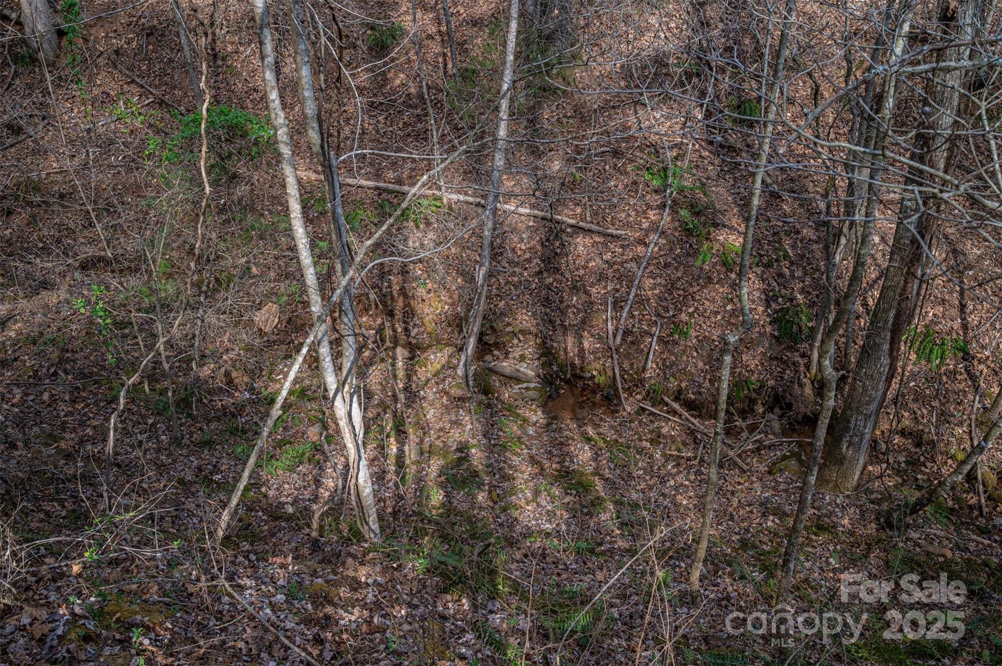 Morganton, North Carolina 28655, United States, ,Land,Active,91720