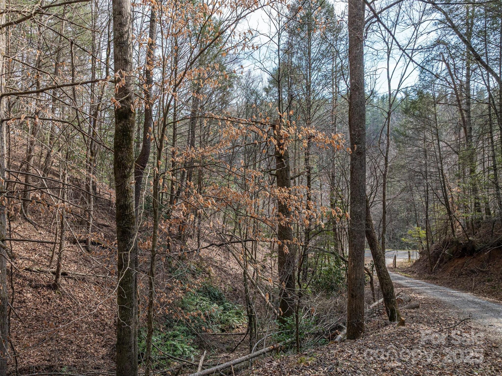 Morganton, North Carolina 28655, United States, ,Land,Active,91720