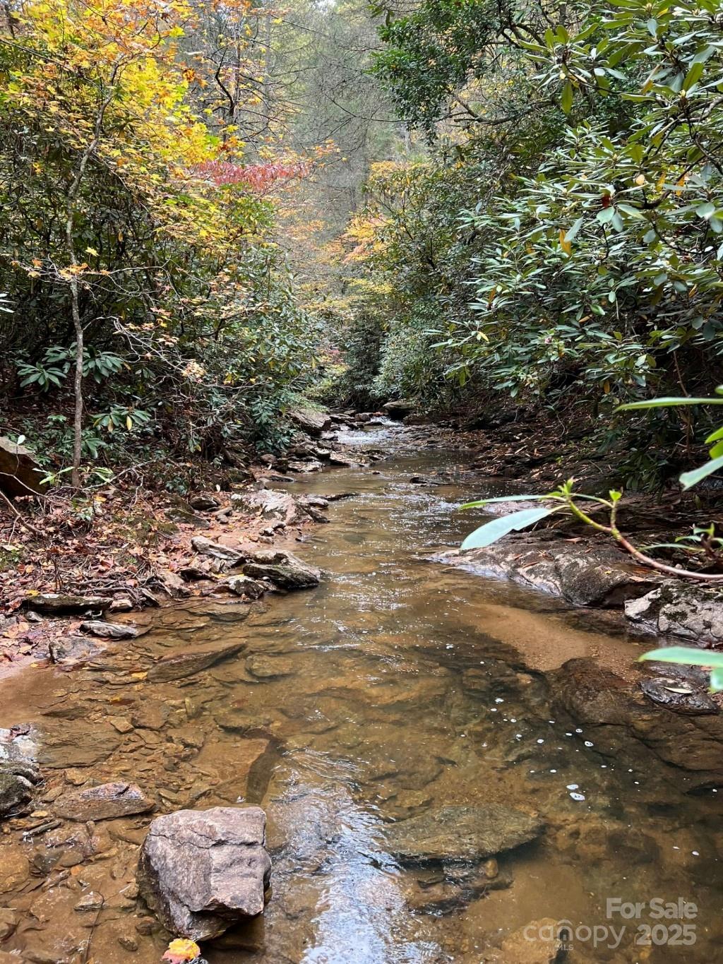 Morganton, North Carolina 28655, United States, ,Land,Active,91720