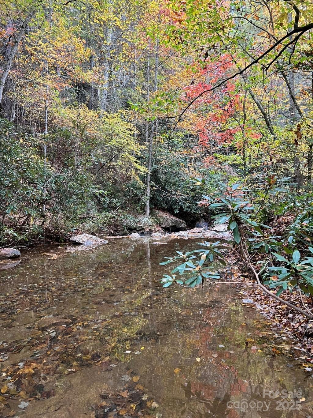 Morganton, North Carolina 28655, United States, ,Land,Active,91720