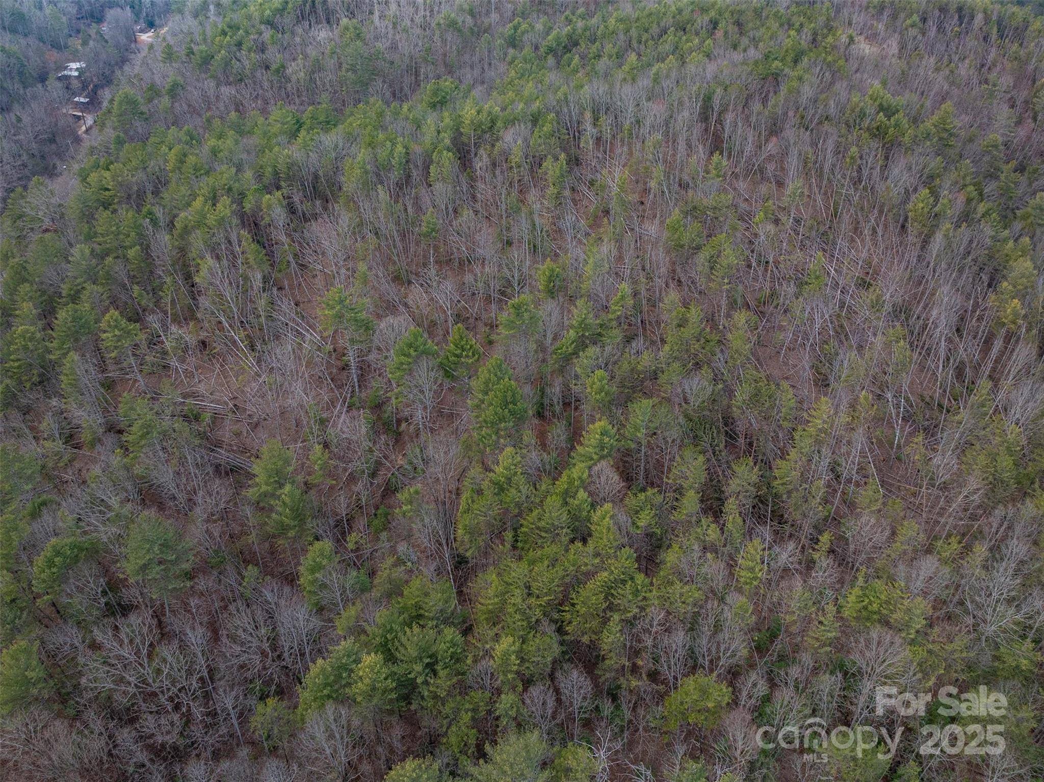 Morganton, North Carolina 28655, United States, ,Land,Active,91720