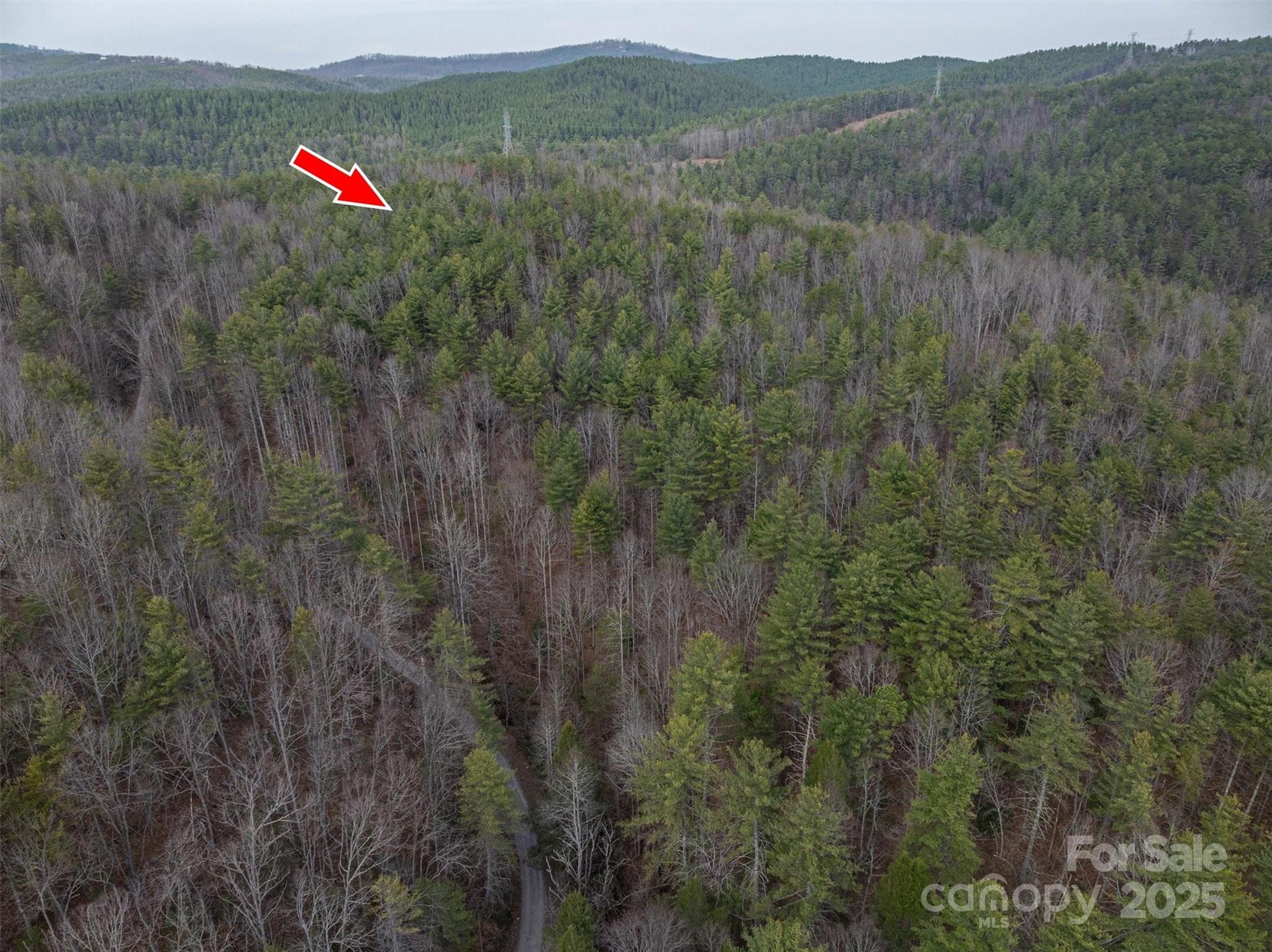 Morganton, North Carolina 28655, United States, ,Land,Active,91720