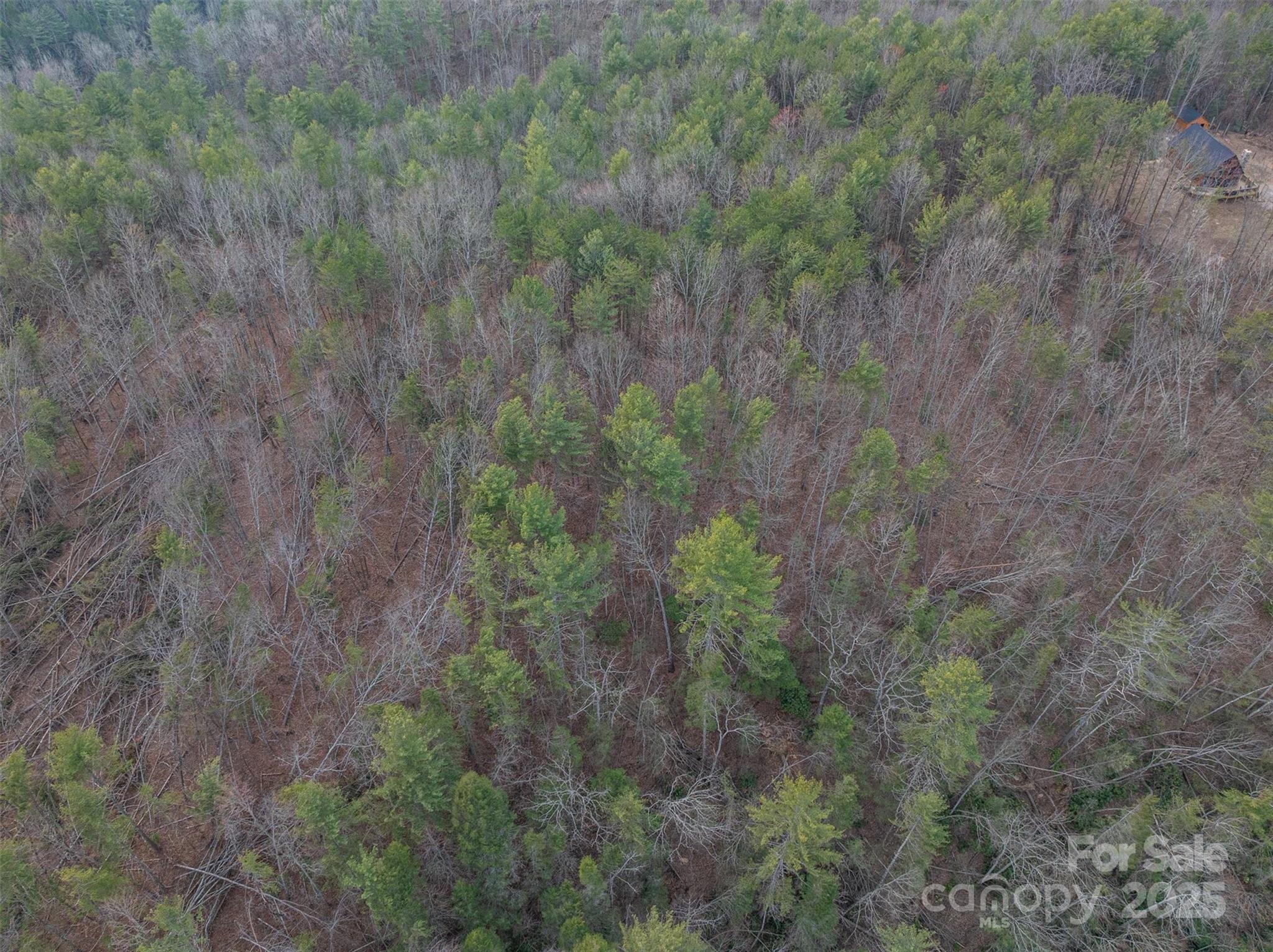 Morganton, North Carolina 28655, United States, ,Land,Active,91720