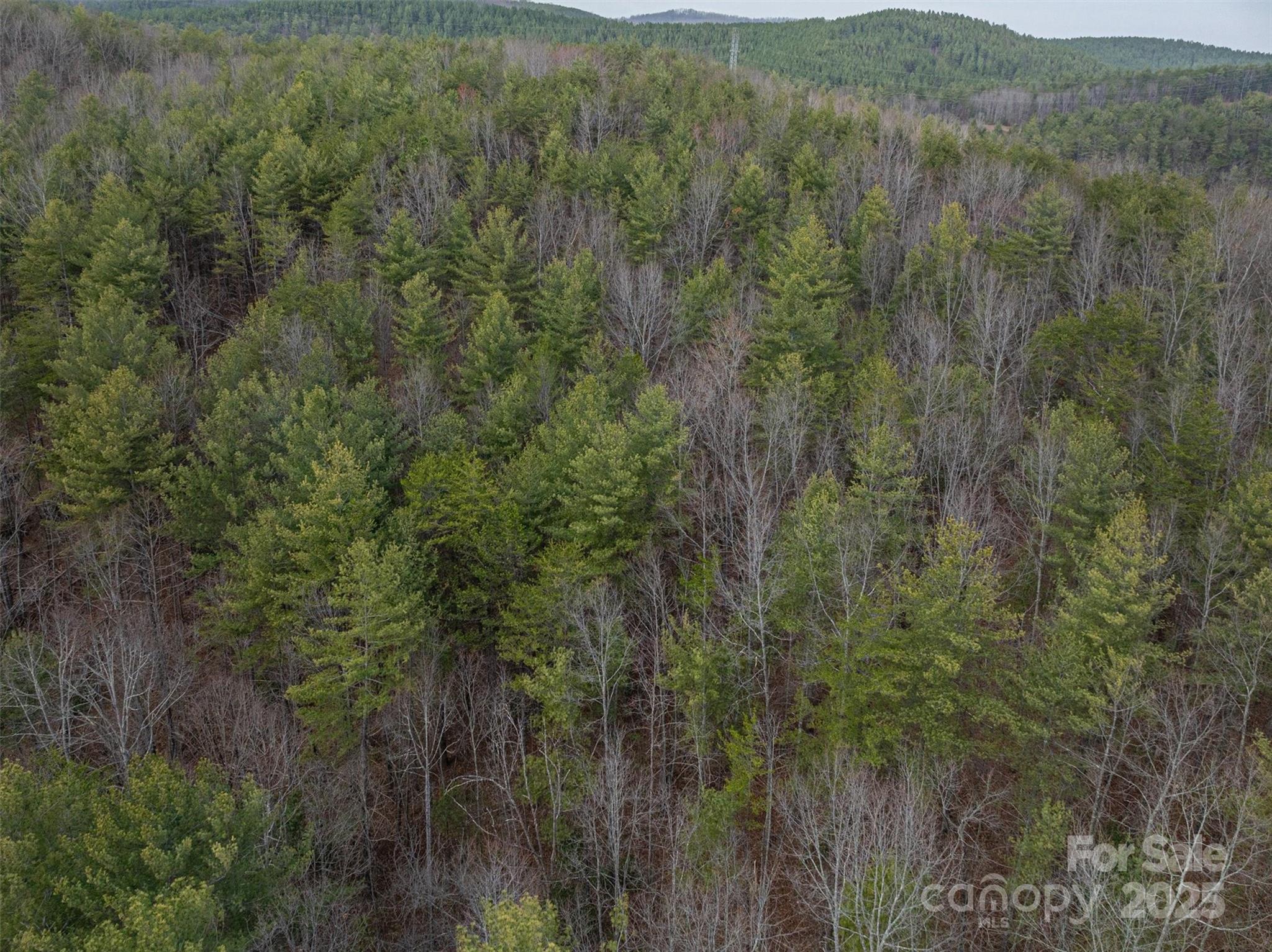 Morganton, North Carolina 28655, United States, ,Land,Active,91720