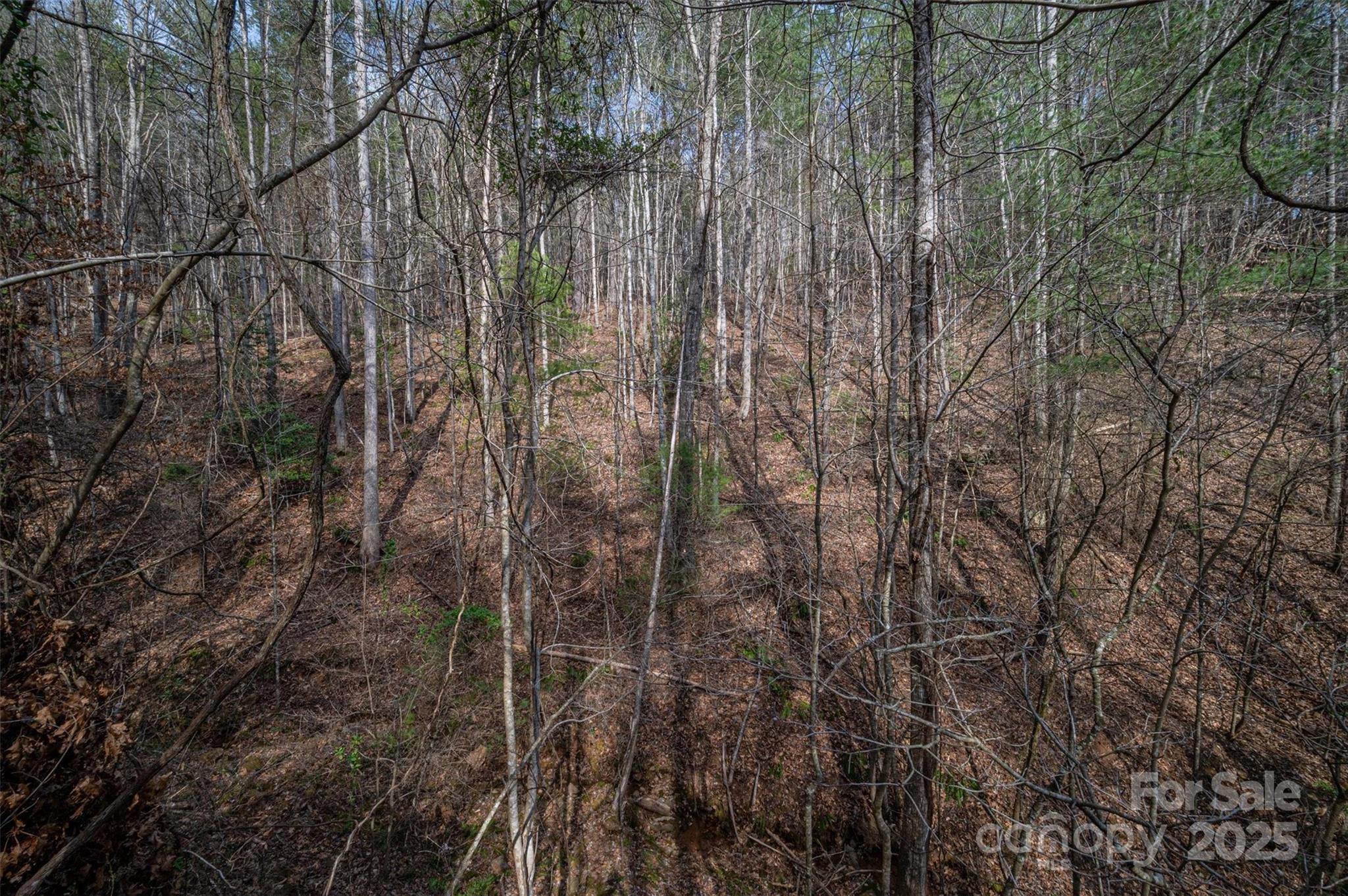 Morganton, North Carolina 28655, United States, ,Land,Active,91720