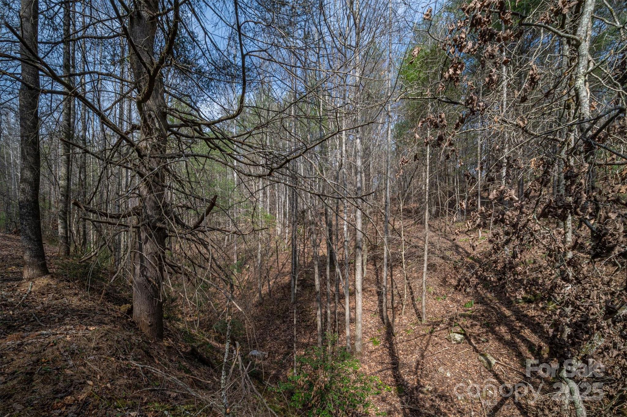 Morganton, North Carolina 28655, United States, ,Land,Active,91720