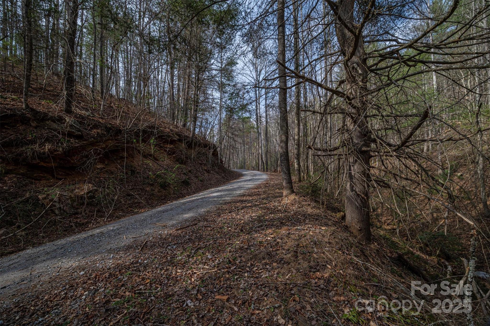 Morganton, North Carolina 28655, United States, ,Land,Active,91720