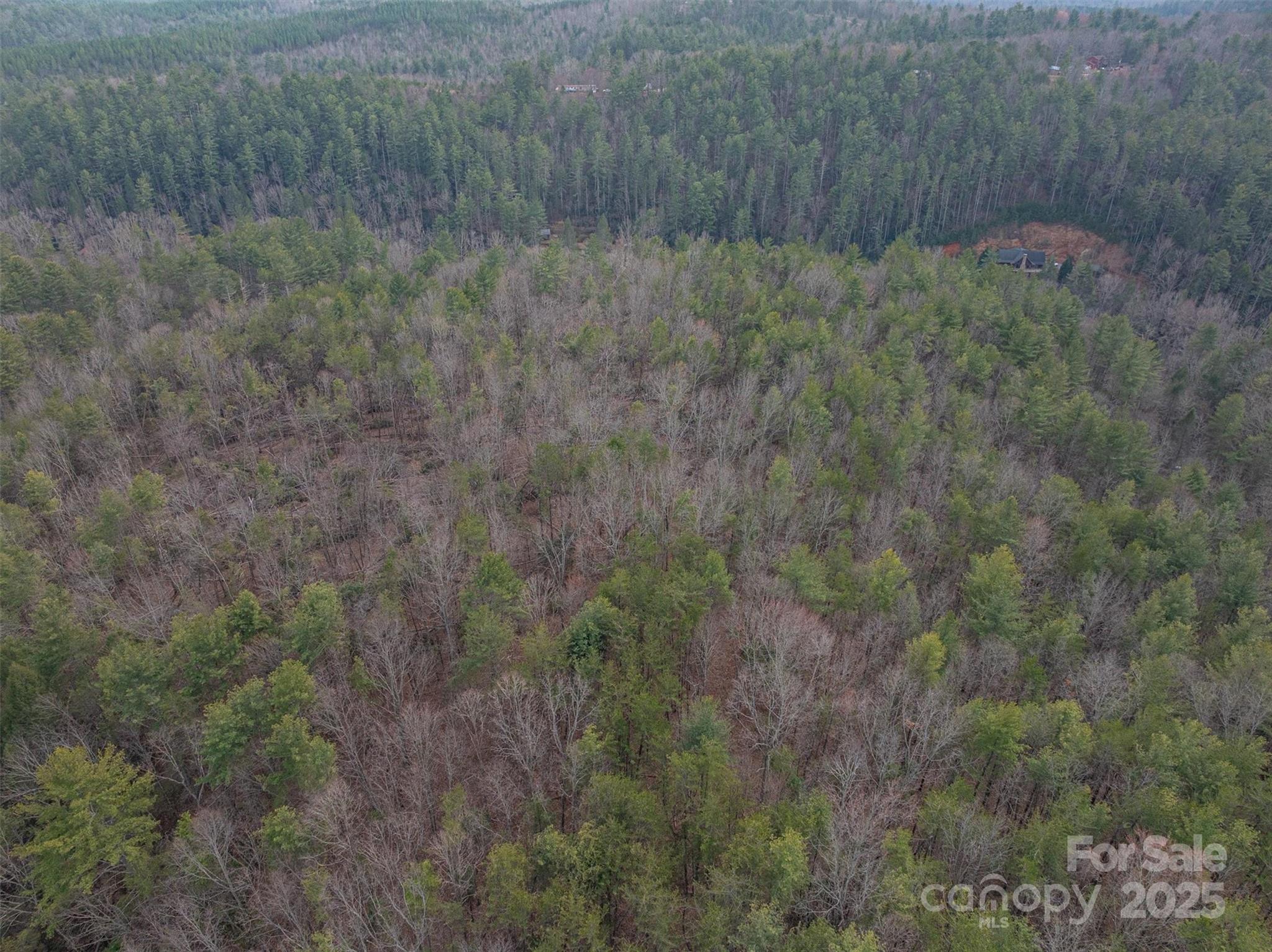 Morganton, North Carolina 28655, United States, ,Land,Active,91720