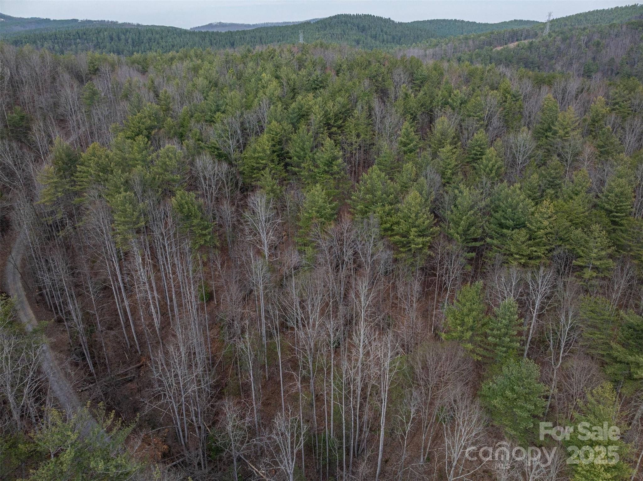 Morganton, North Carolina 28655, United States, ,Land,Active,91720