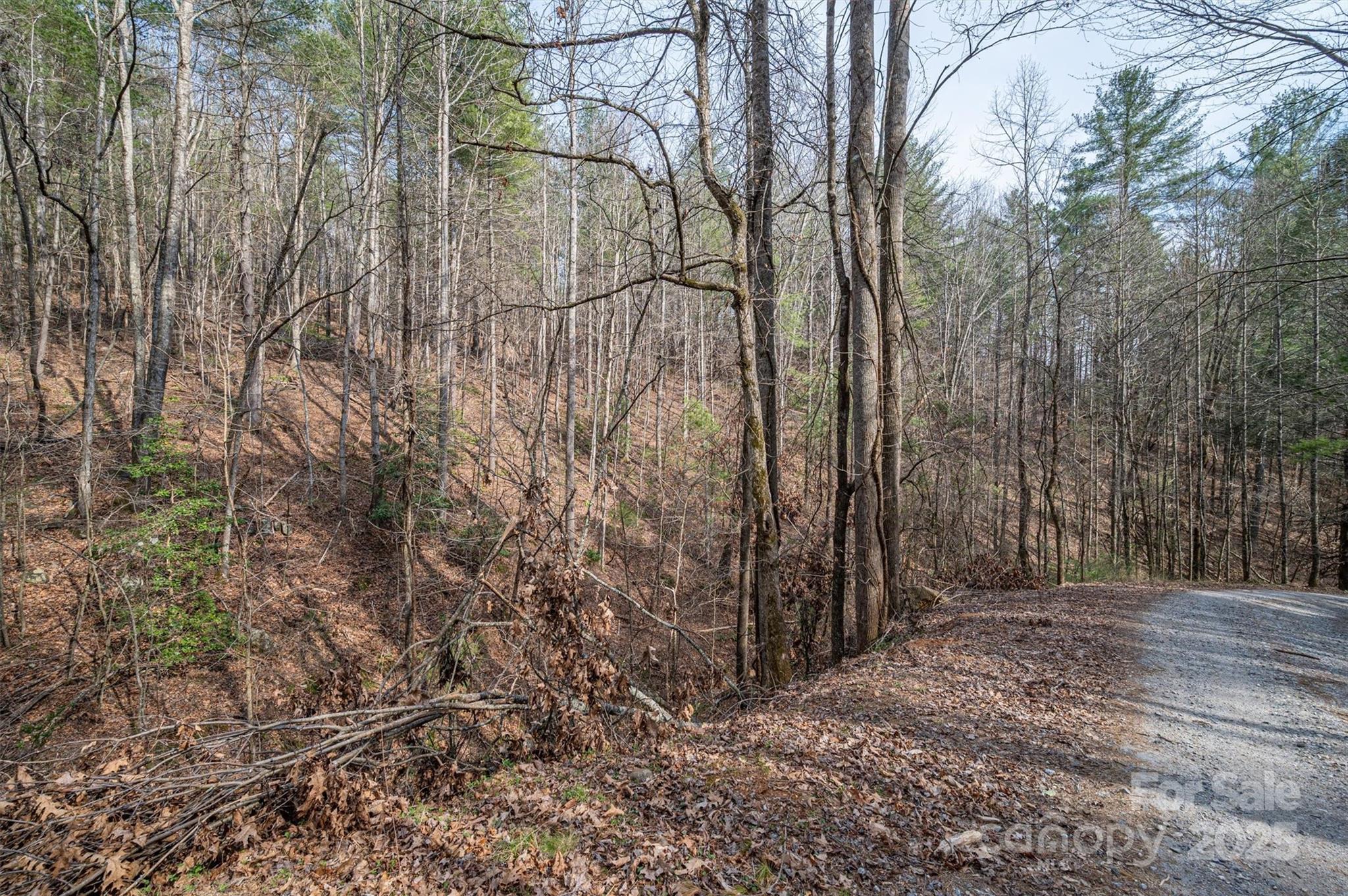 Morganton, North Carolina 28655, United States, ,Land,Active,91720