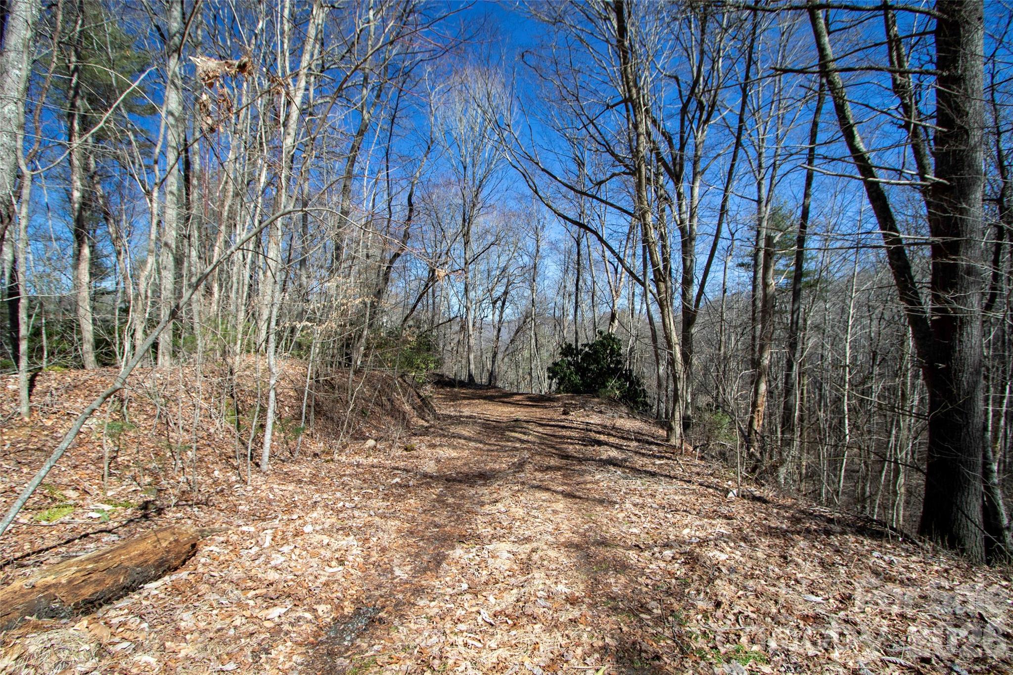 0000 Grapevine Road