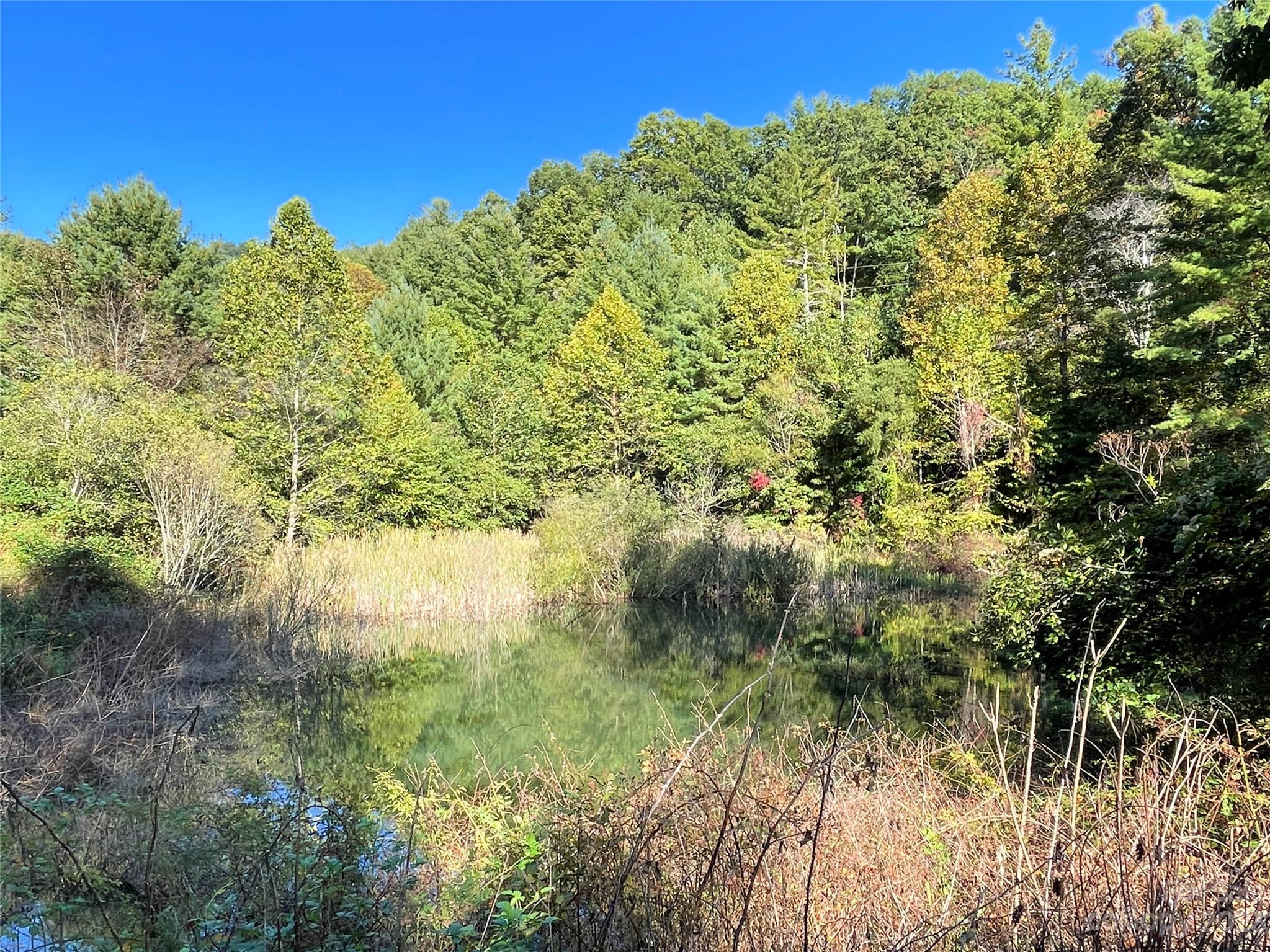 Moonshine Mountain - Land