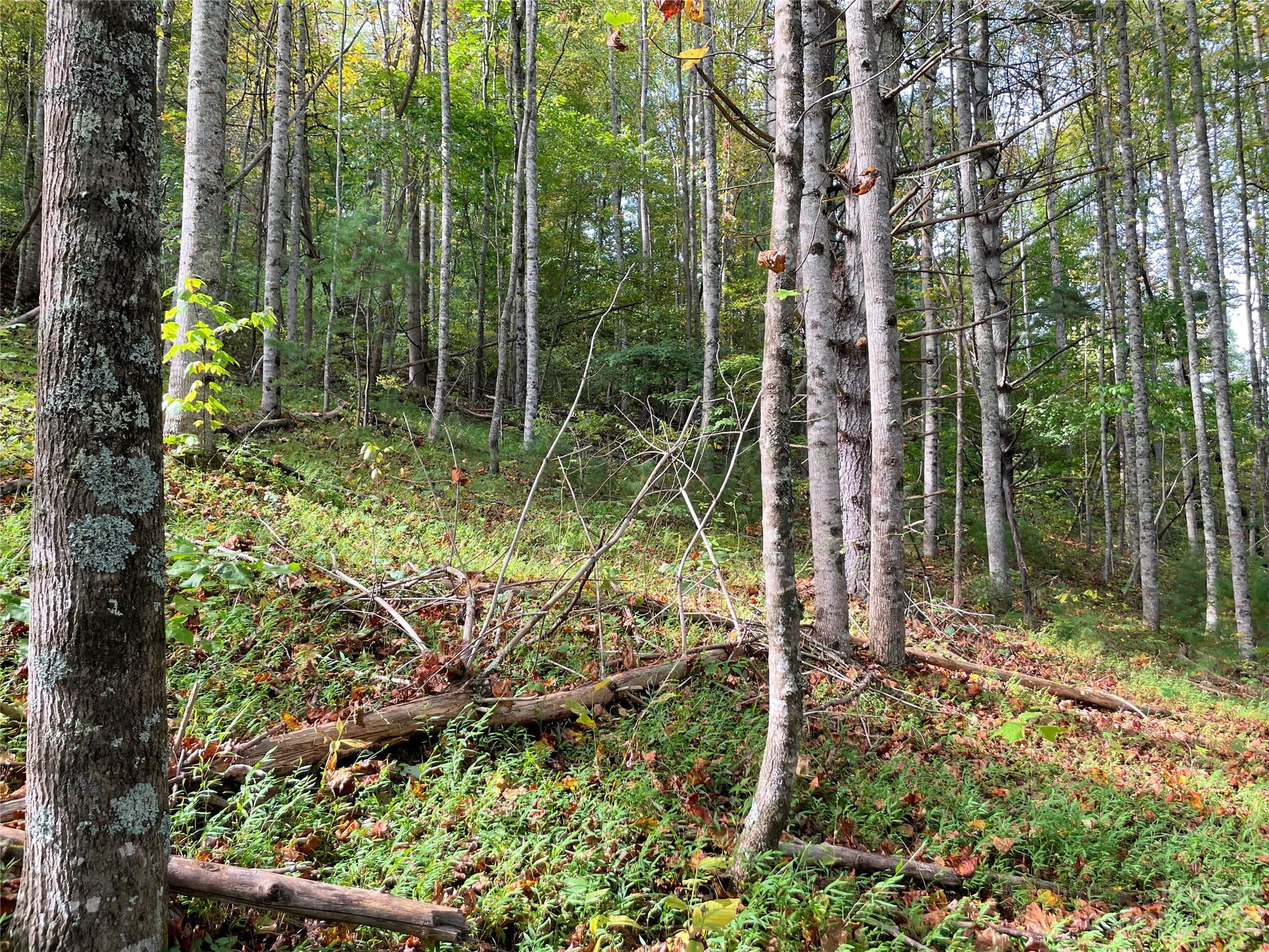 Moonshine Mountain - Land