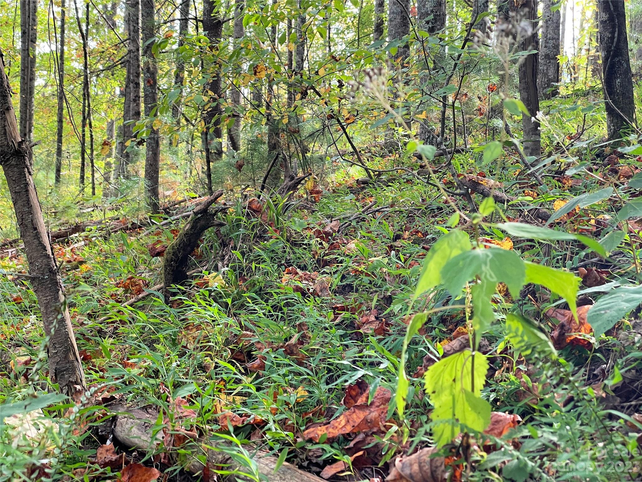 Moonshine Mountain - Land