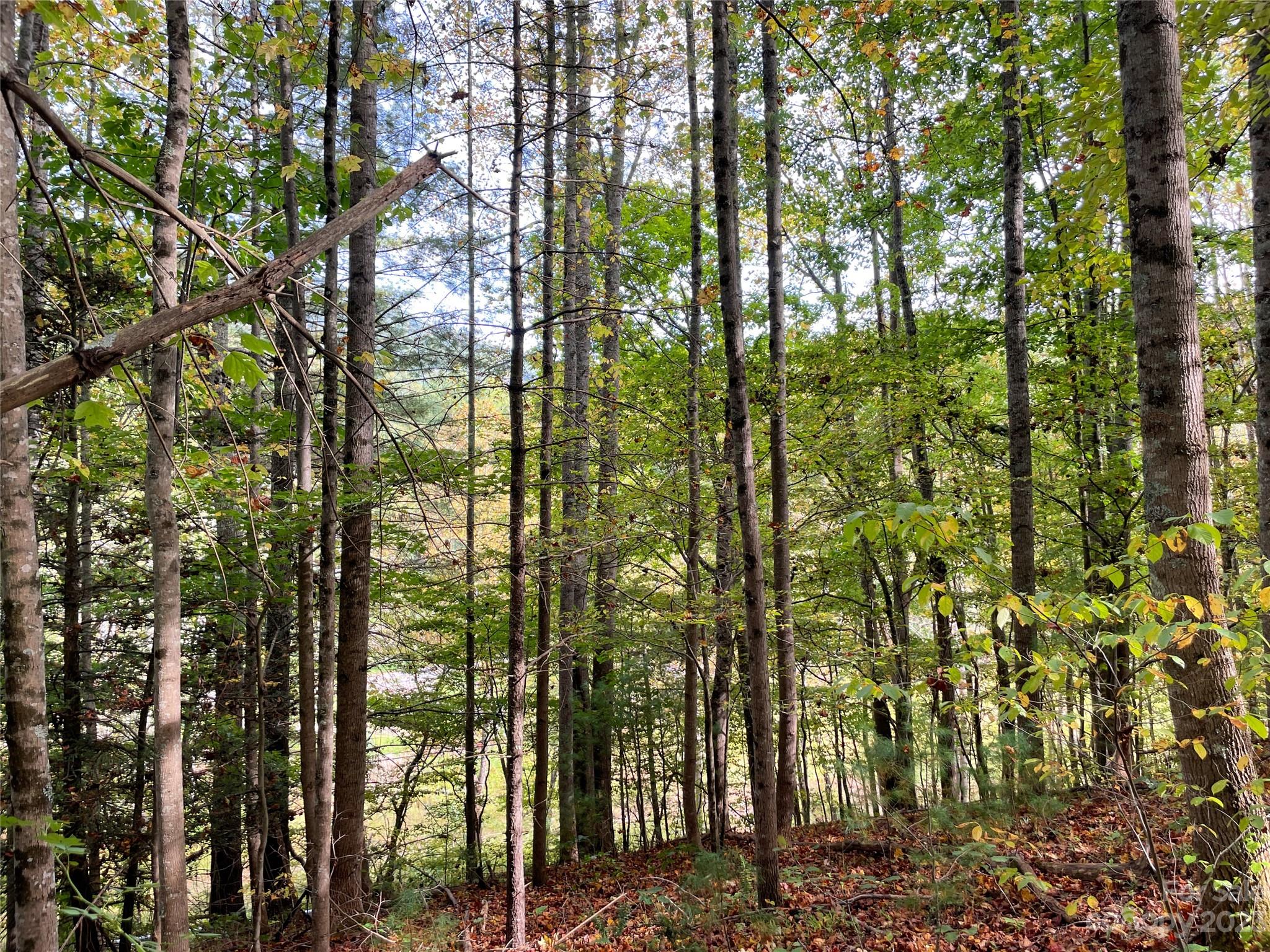 Moonshine Mountain - Land