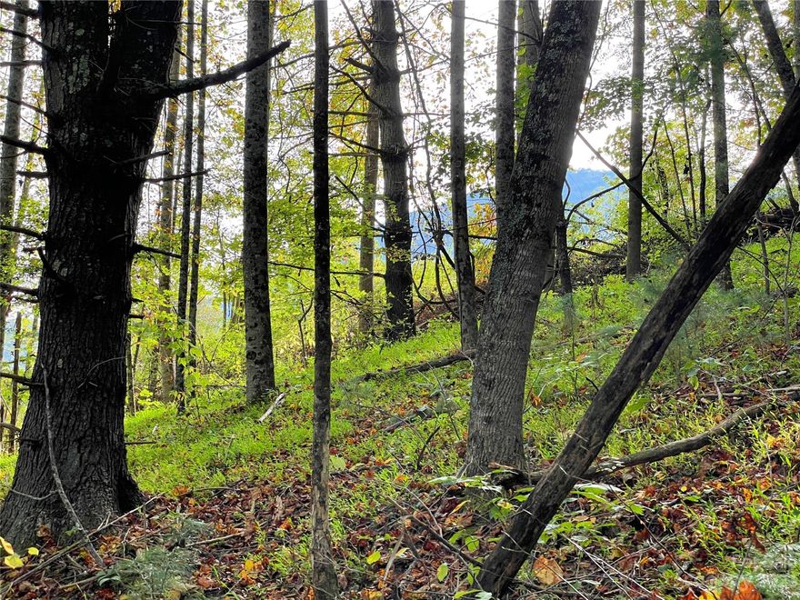 1.92 acres +/- in Burnsville, NC for $29K.  Enjoy the best of town AND country with this lot!  Only 6 minutes to Burnsville’s lively town square, which is surrounded by a variety of shops and restaurants.  Enjoy the local theater, seasonal festivals and live music!  This area continues to grow, as the historic Nu Wray Hotel is being transformed into a gourmet venue for you and your guests.  If natural beauty is what you seek, go 5 minutes in the other direction and find yourself on the lovely Toe River, ideal for fishing and floating!  Cycle along the river or hike the nearby Appalachian Trail or Linville Gorge.  Build your dream house in the lovely light on this east and south-facing lot amidst large hardwoods and pines.  With this exposure, your flowers and foliage will flourish!  This lot is ideal for a four-season home, as it is convenient to a well-maintained state road.  With Asheville less than one hour away, it also is easy to go to the city for business or pleasure.