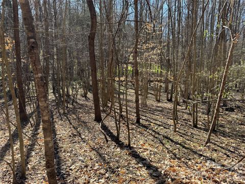 Photo of 11490 King James Boulevard #2, Davidson, NC 28036 (MLS # 4368467)