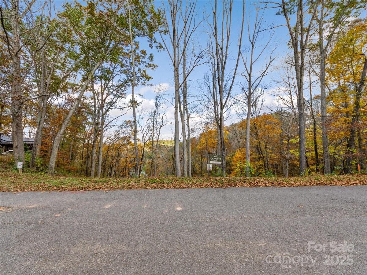 17 Tulip Poplar Trail 30