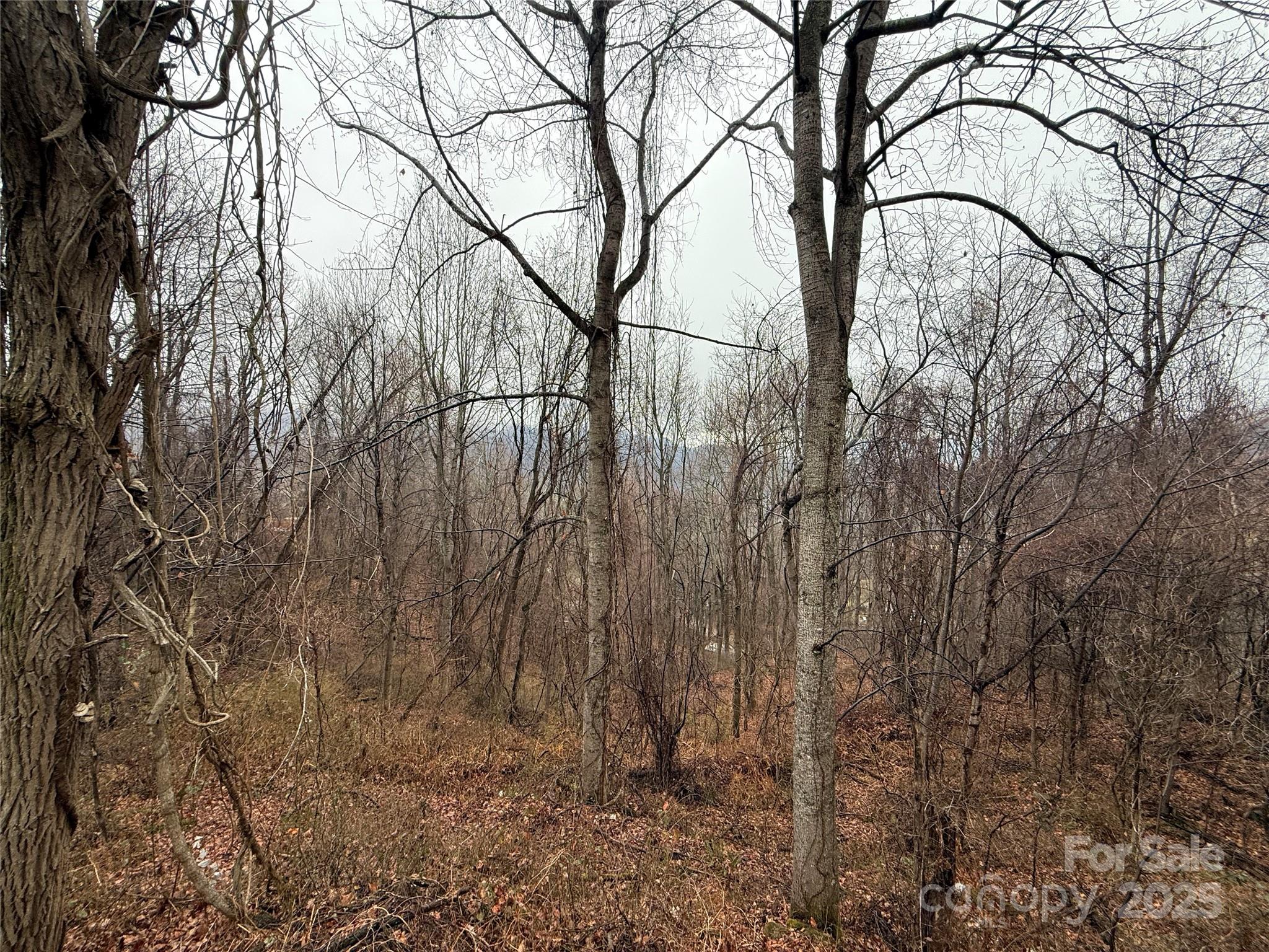 Grand View Acres - Residential