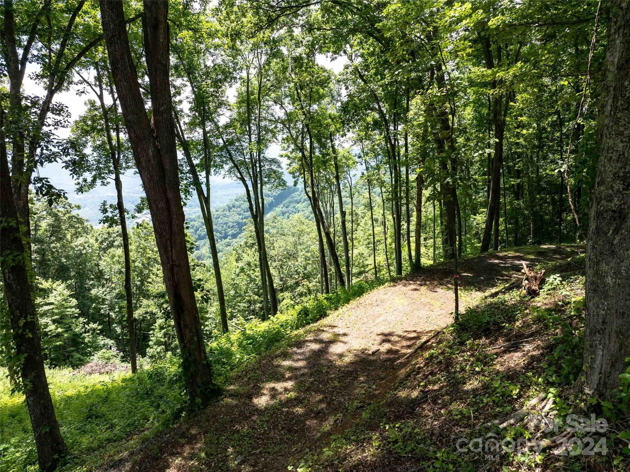 #54 Sleepy Hollow Drive