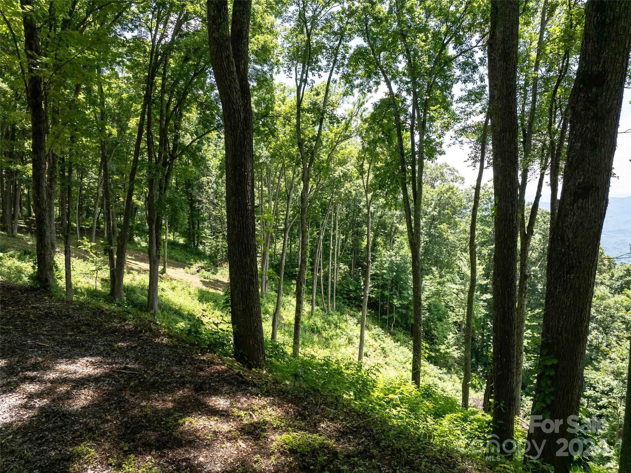 #54 Sleepy Hollow Drive