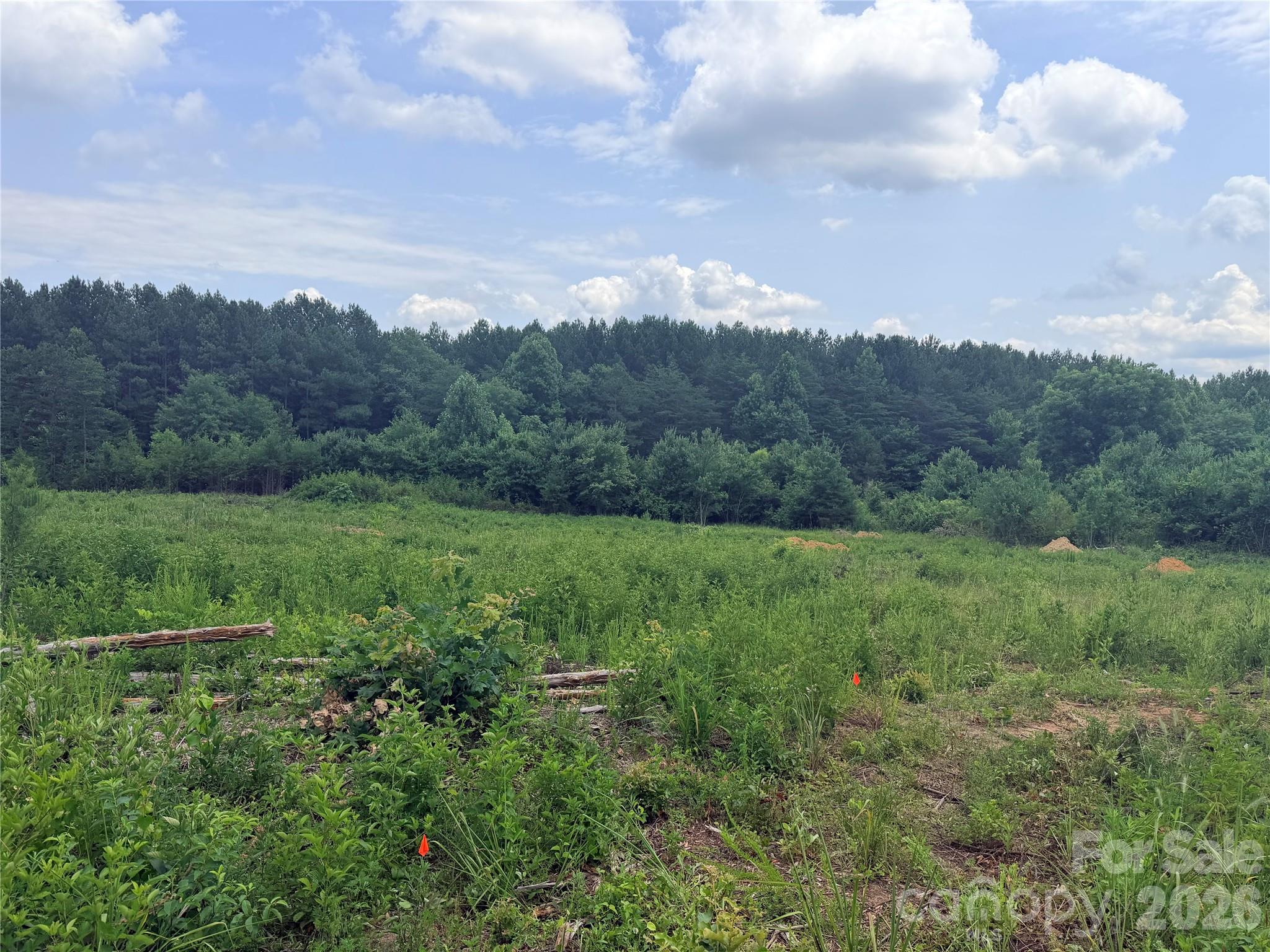0 Doggett Grove Road 1