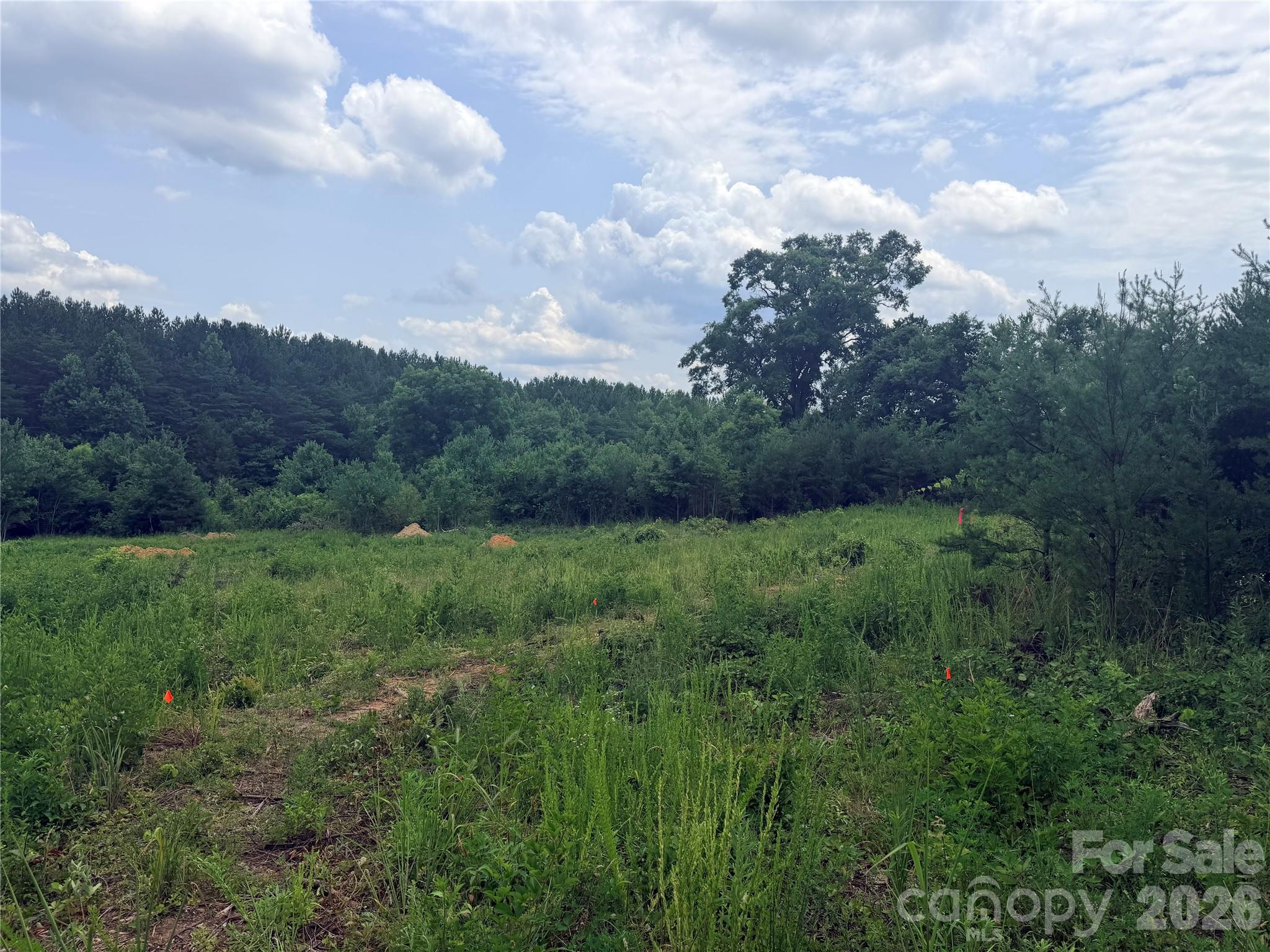 0 Doggett Grove Road 1