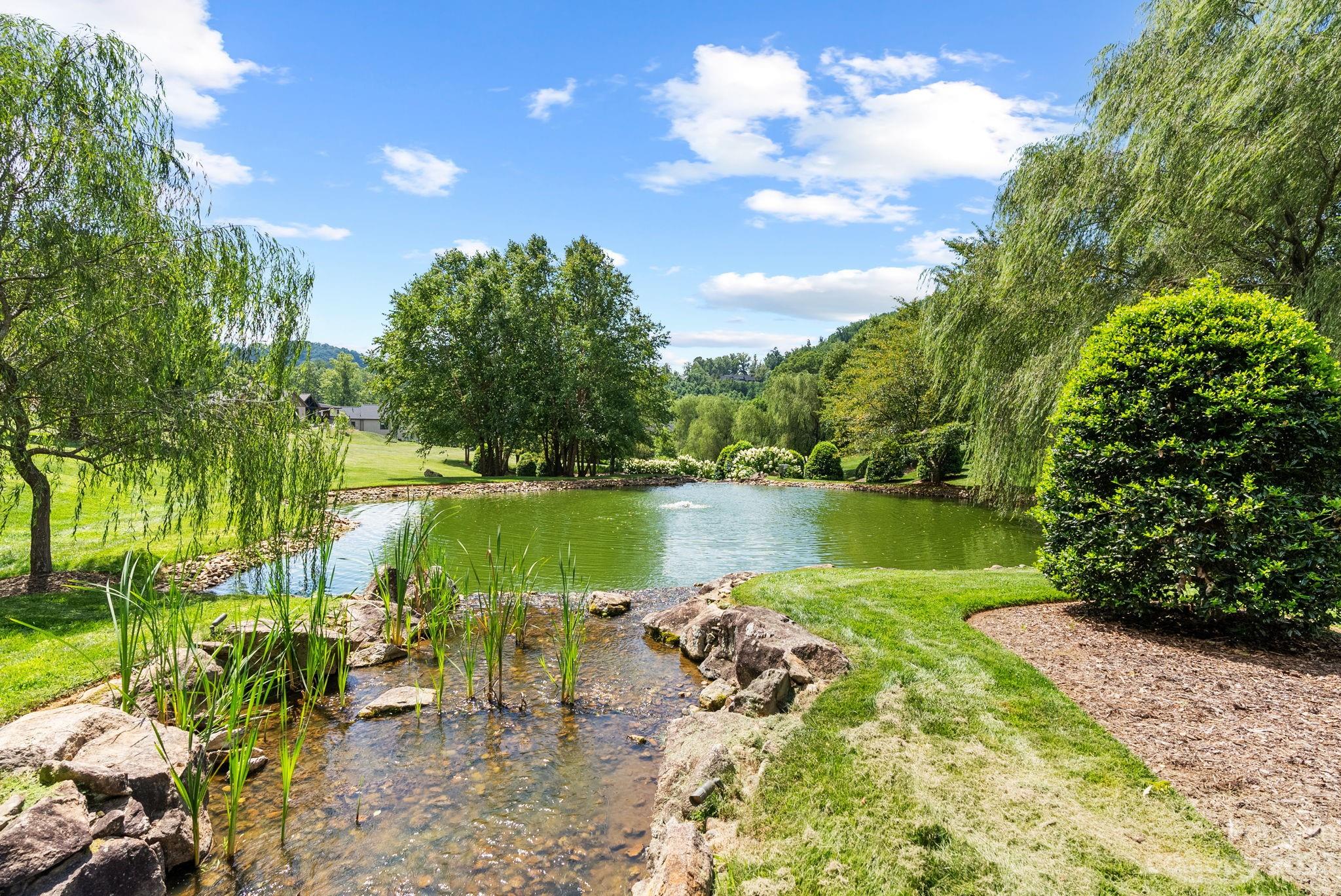The Cliffs at Walnut Cove - Residential