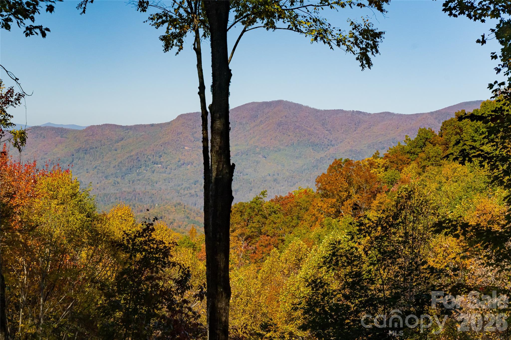 Balsam Mountain Preserve - Residential