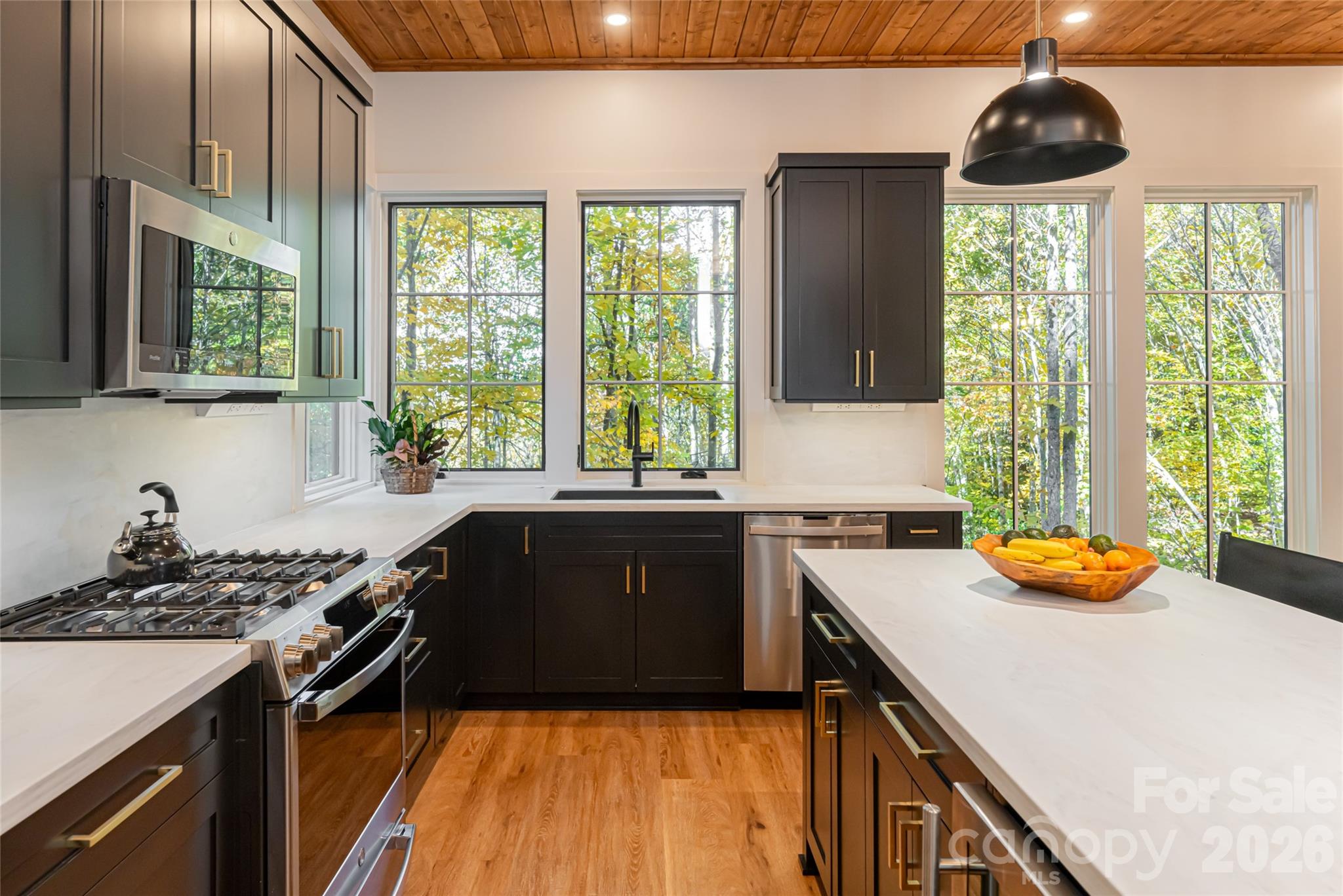 Balsam Mountain Preserve - Residential