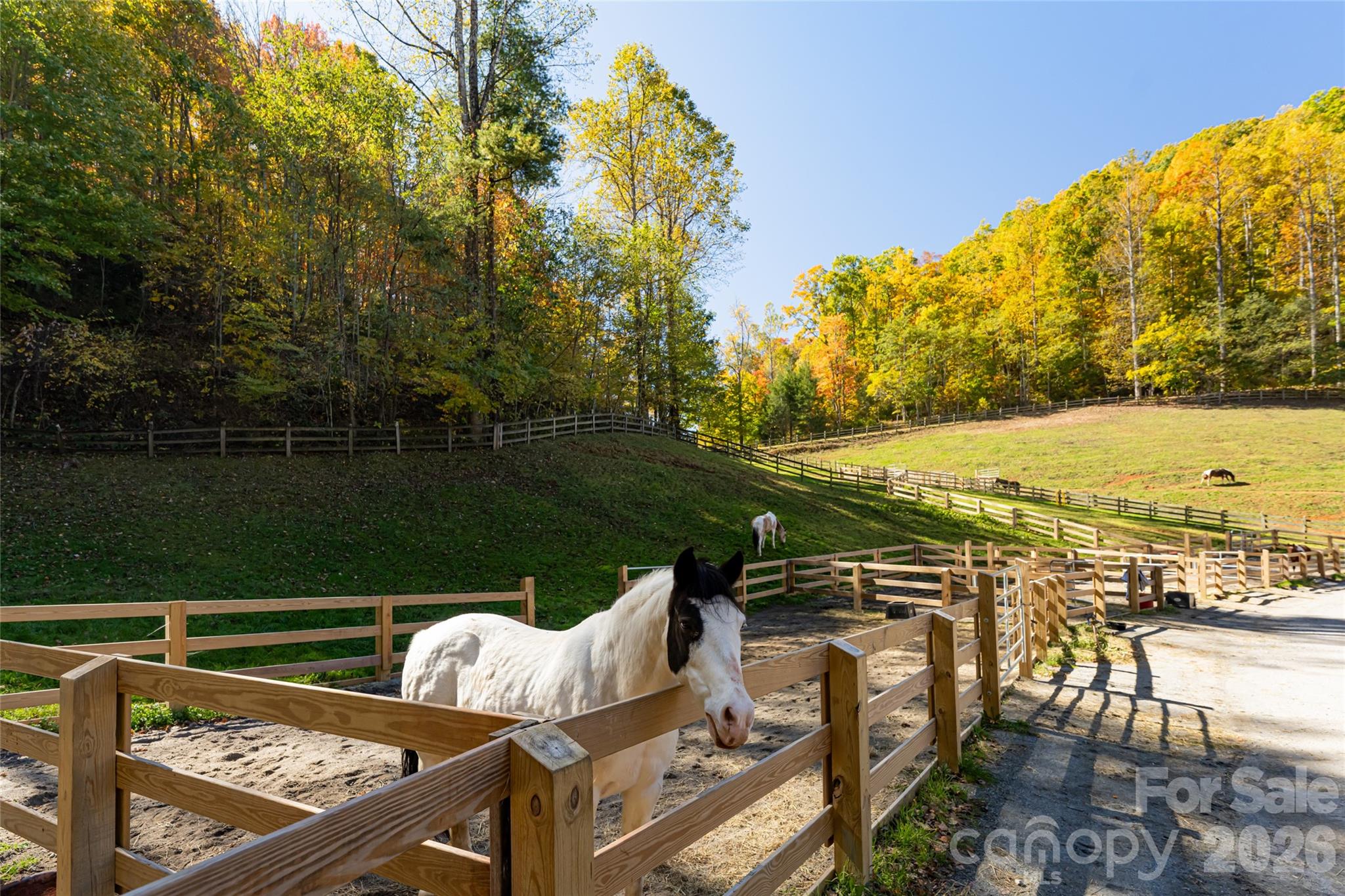 Balsam Mountain Preserve - Residential