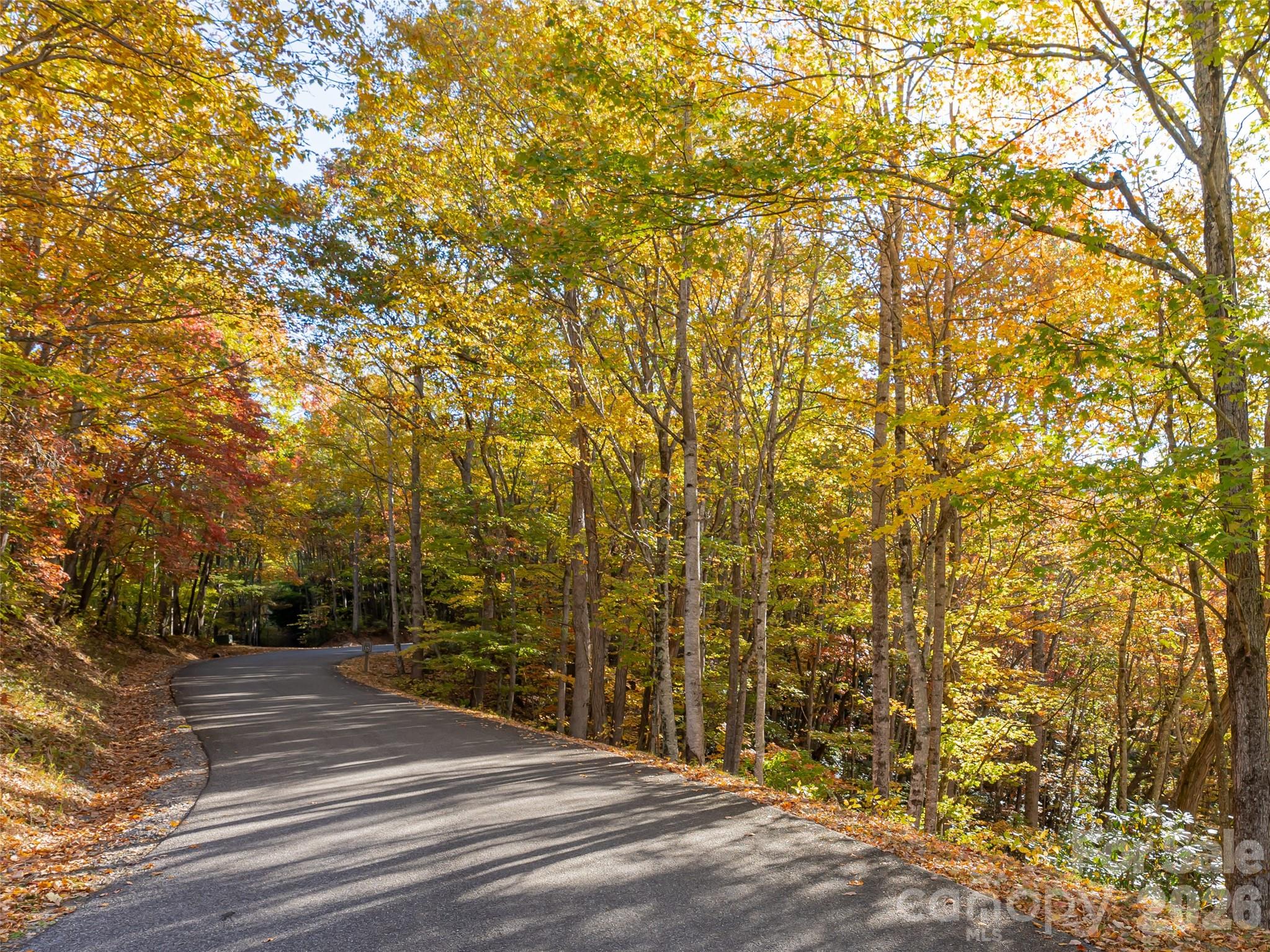 Balsam Mountain Preserve - Residential