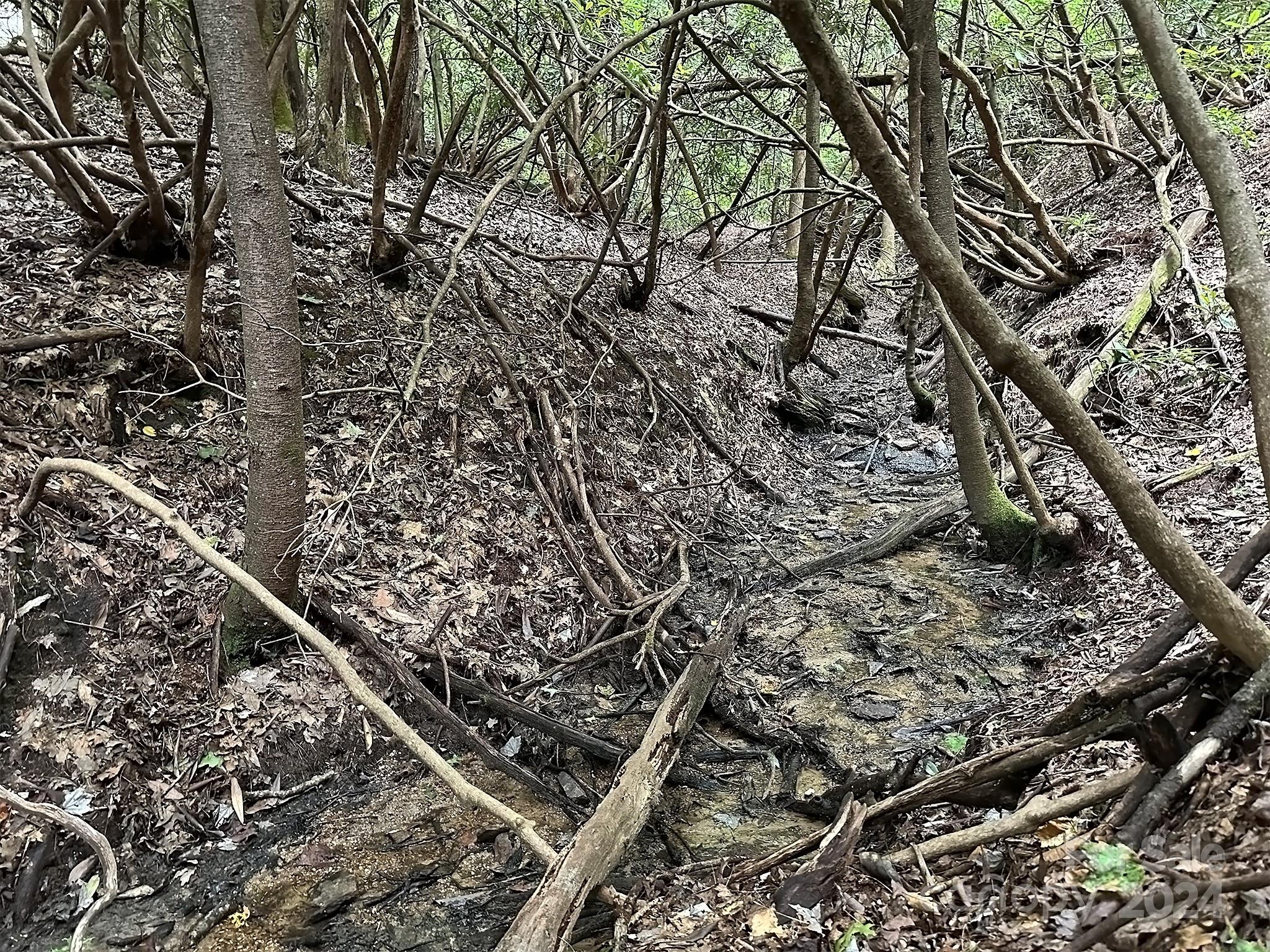 TBD Lot 6 Williamson Creek Road