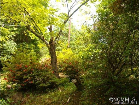 Bat Cave Manor - Residential