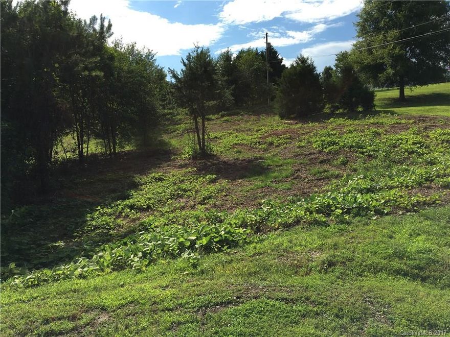 Good building lot with great view.  Septic approved for 3 bedroom house.  Priced below tax value.  Bring your own builder. Can be combined with listing #3291204 (L-13A) for $ 35,000.LIsting Agent /Broker is owner.