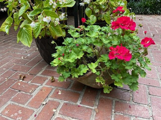 Biltmore Forest - Residential