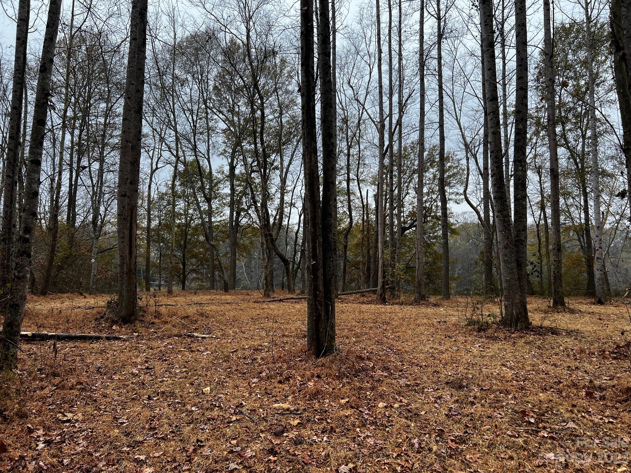 River Rock Shores - Land