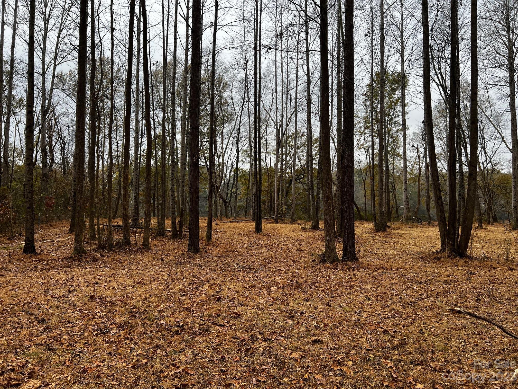 River Rock Shores - Land