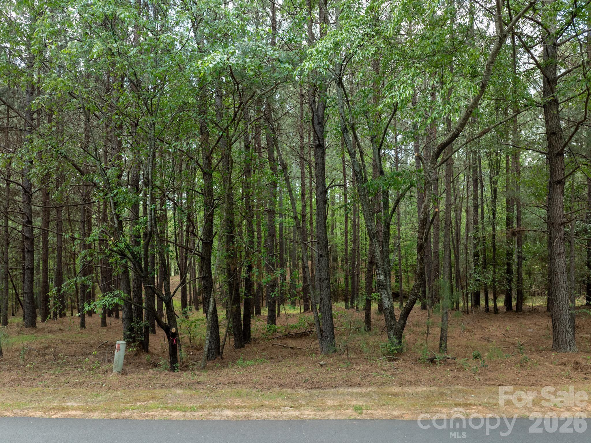 Anchors Landing - Land