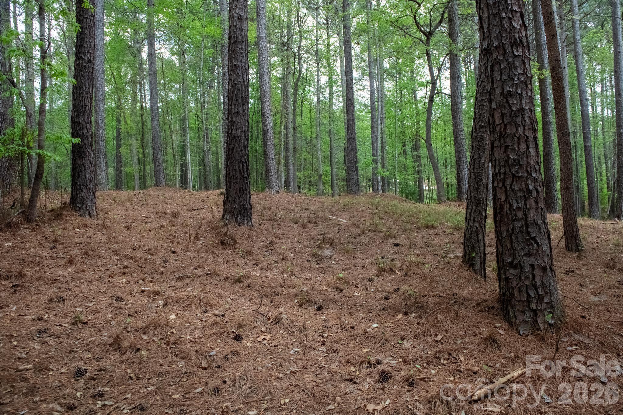 Anchors Landing - Land