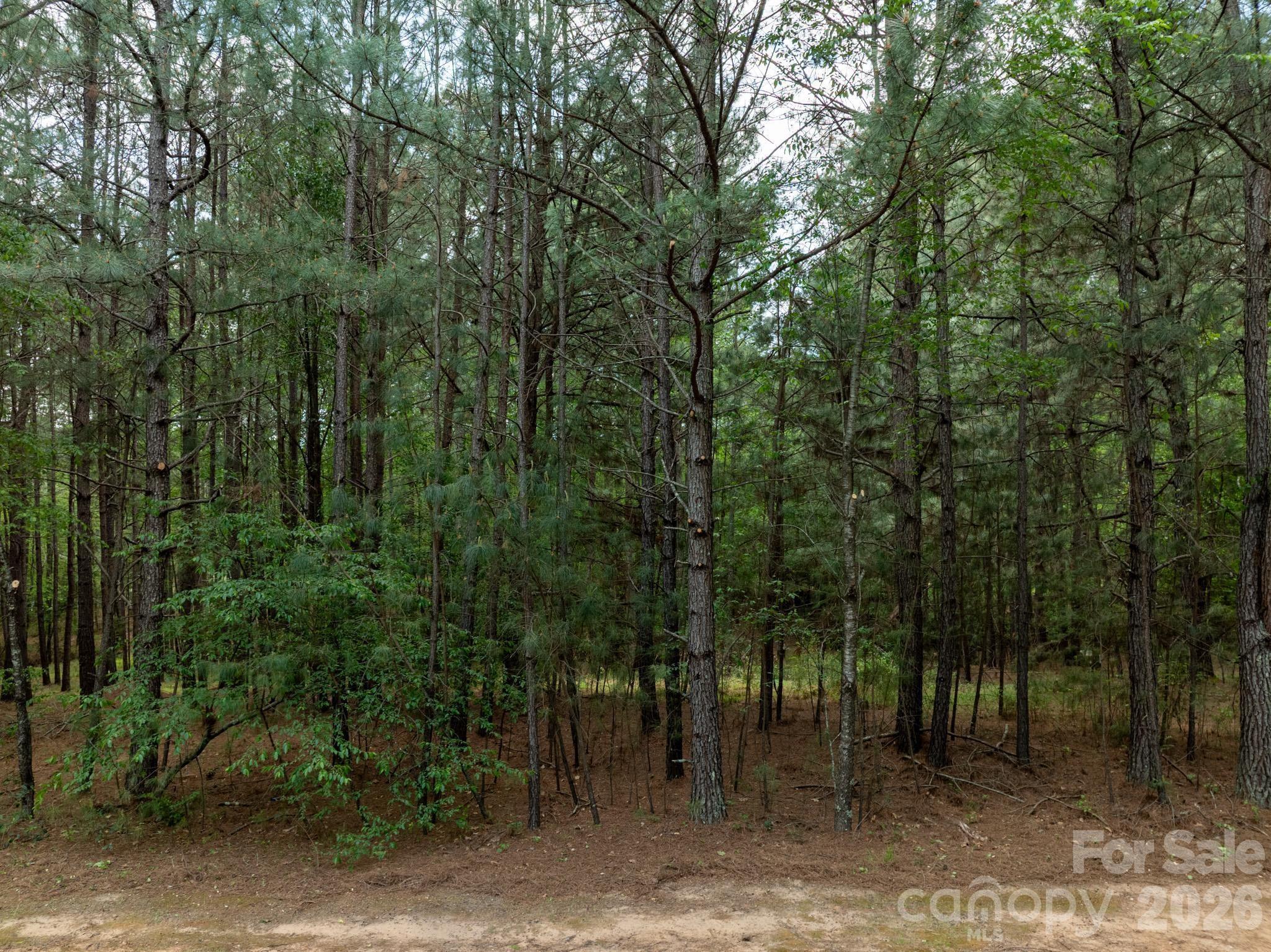 Anchors Landing - Land