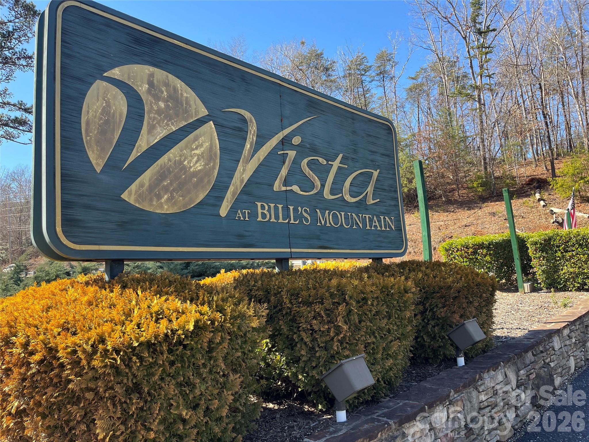 Vista at Bills Mountain - Land