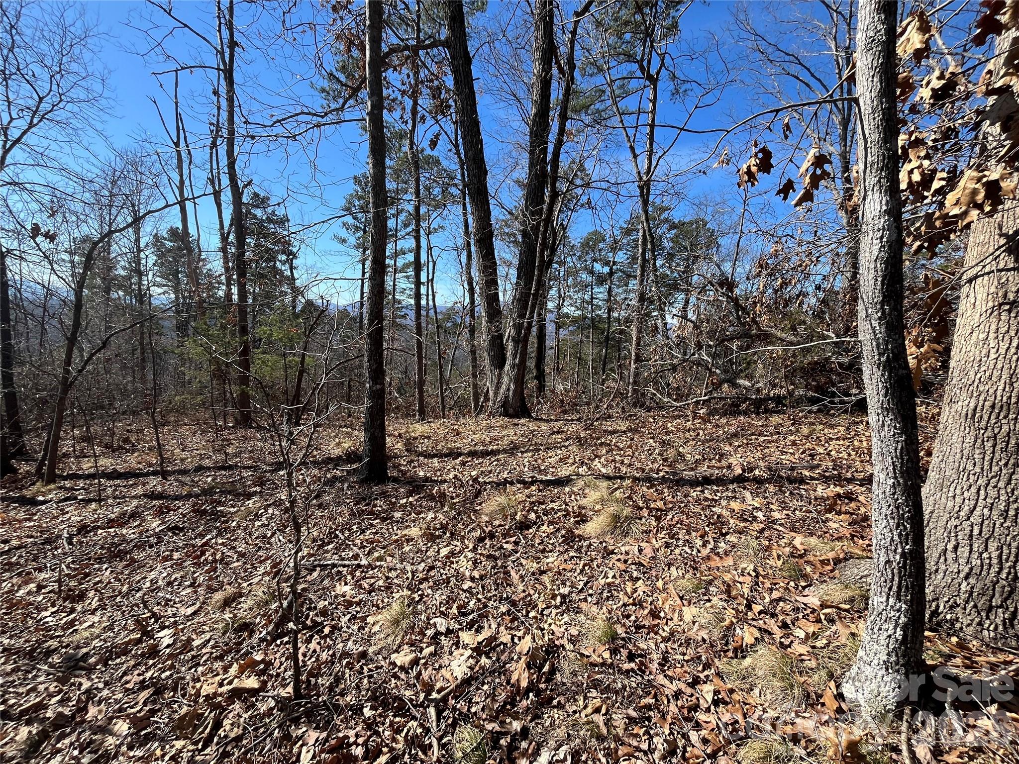 Vista at Bills Mountain - Land