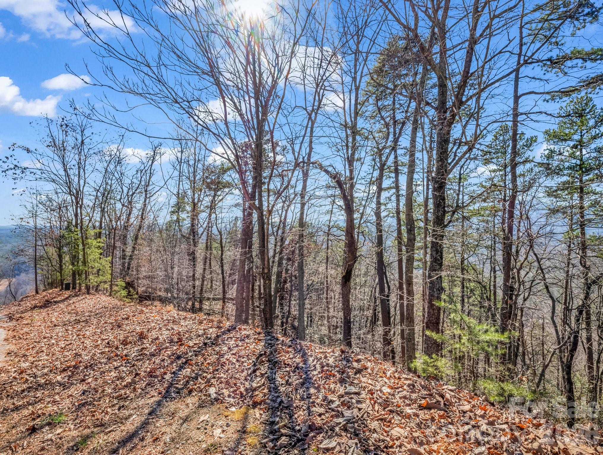 Vista at Bills Mountain - Land