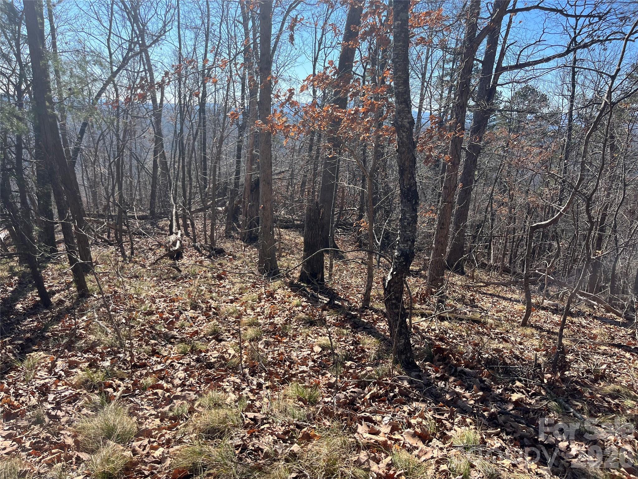 Vista at Bills Mountain - Land